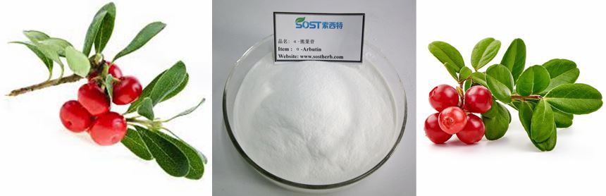 alpha arbutin powder 84380- 01-8