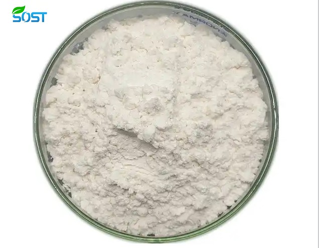Resveratrol Powder1