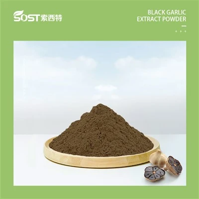 Extrait d'ail noir fermenté à 3% SAC