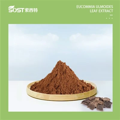Extrait de feuilles d'Eucommia ulmoides