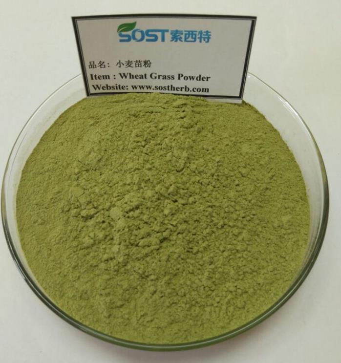 Wheat Grass Powder