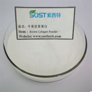 Poudre de collagène bovin hydrolysé