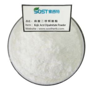 Poudre de dipalmitate d'acide kojique blanchissant la peau