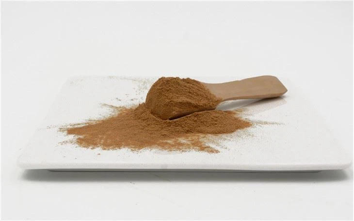 Astragaloside Extract Powder