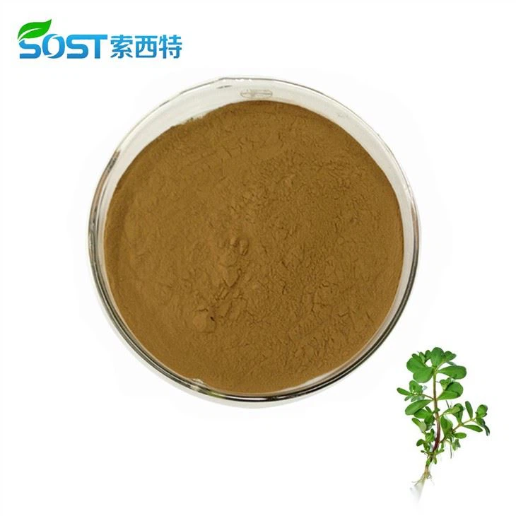 Bacopa Monnieri Powder