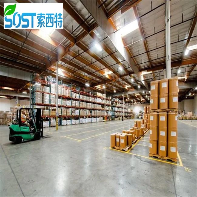 Potassium Sorbate Echa Powder