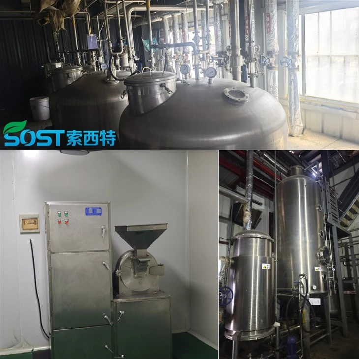 Beetroot Powder Bulk high quality